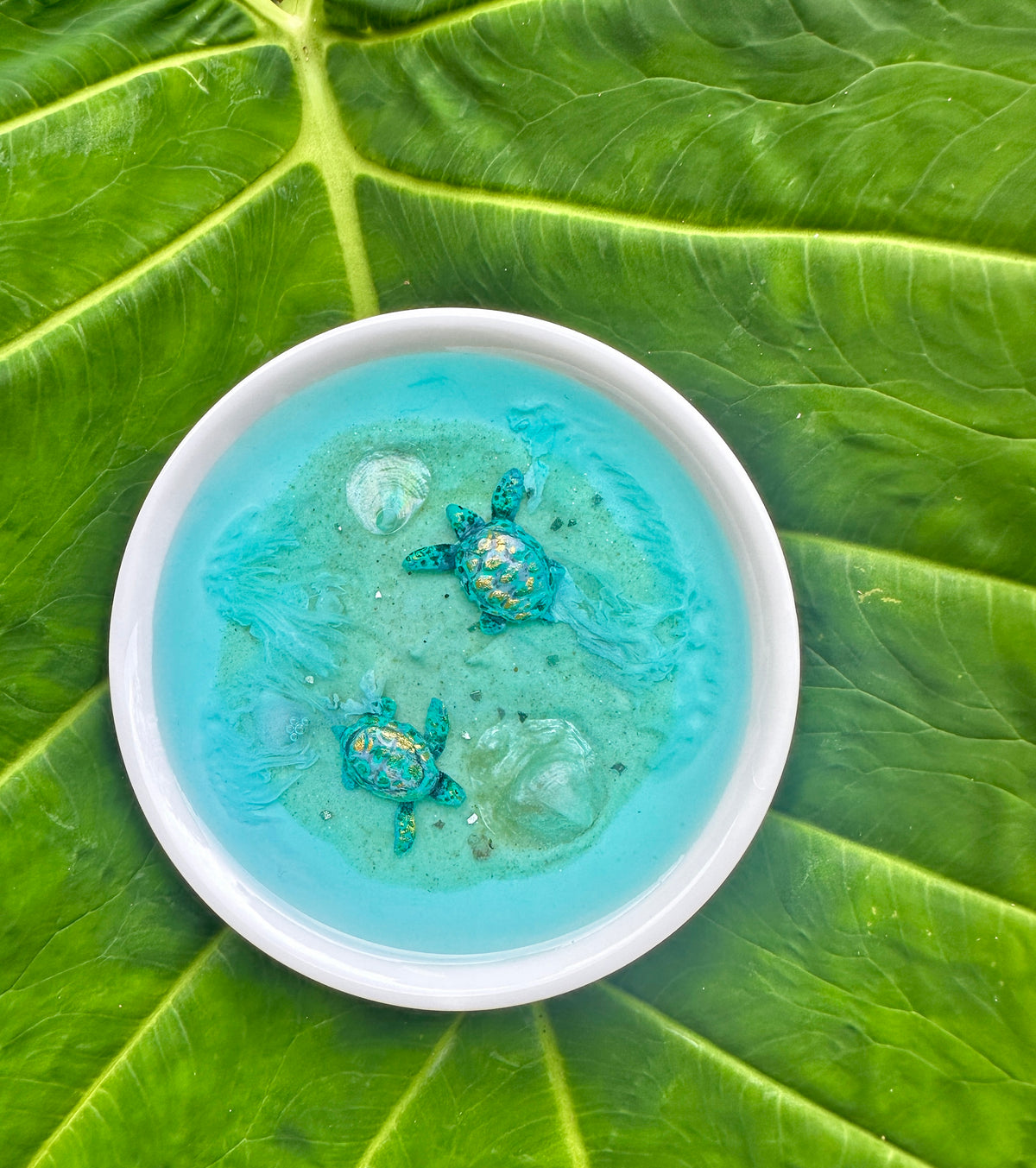 Baby Sea Turtles trinket tray