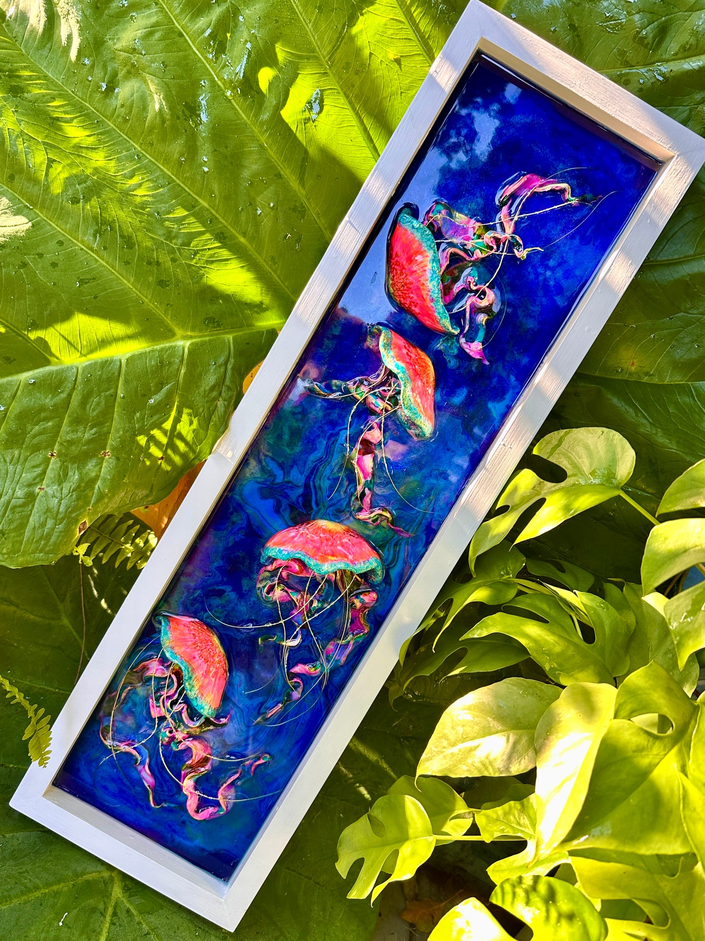 Neon Jelly Collection - Floating