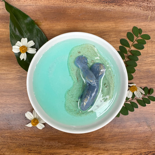 Blue Spring Collection- Manatee Trinket Dish