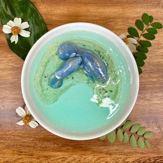 Blue Spring Collection- Manatee Trinket Dish